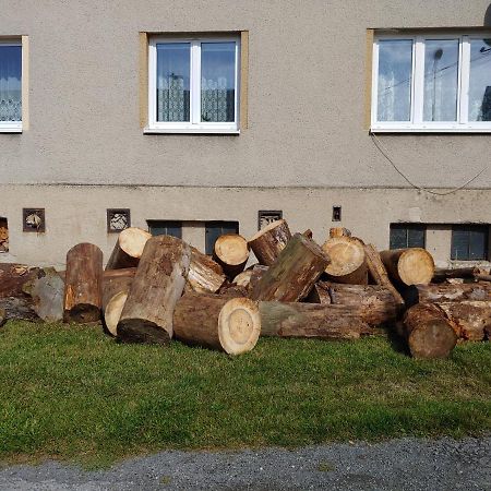 Marta P Apartamento Detrichov Nad Bystrici Exterior foto